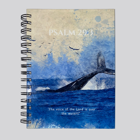 Whale Notebook  (100pg • Hardcover)